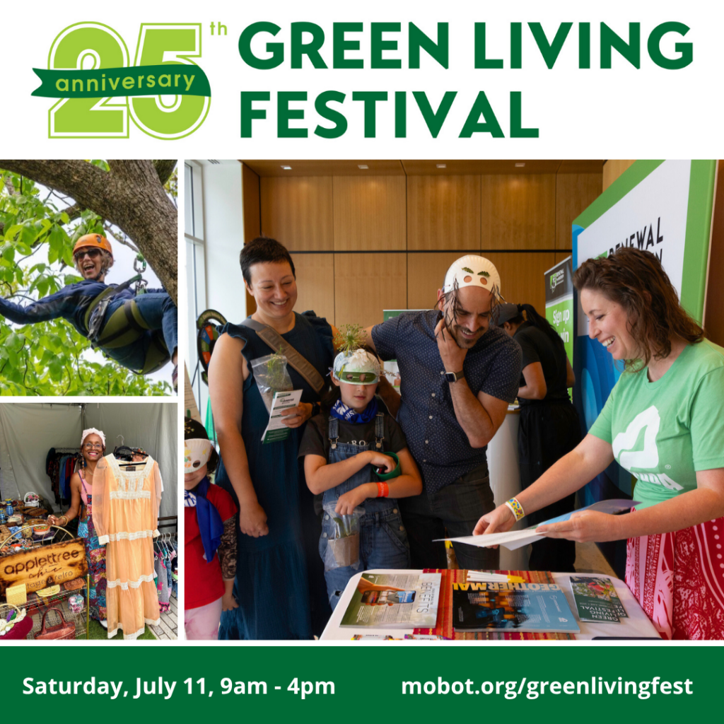 Green Living Festival 1